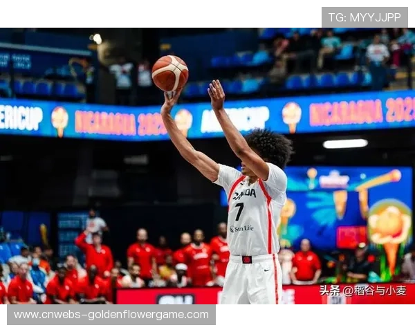 奇才失误频发致败,尼克斯篮板优势转化二次进攻 奇才失误频发致败,尼克斯篮板优势转化二次进攻